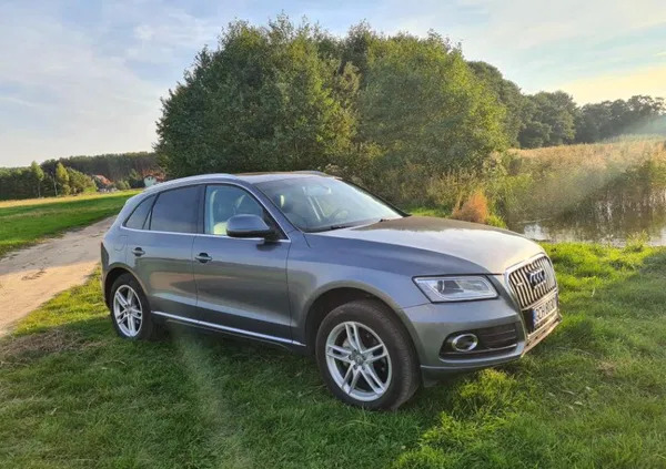 audi q5 Audi Q5 cena 49999 przebieg: 199000, rok produkcji 2013 z Chojnice